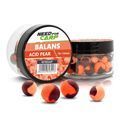 Balans